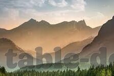 成人在线视频播放-成人在线视频播放，理性审视与合理使用的边界