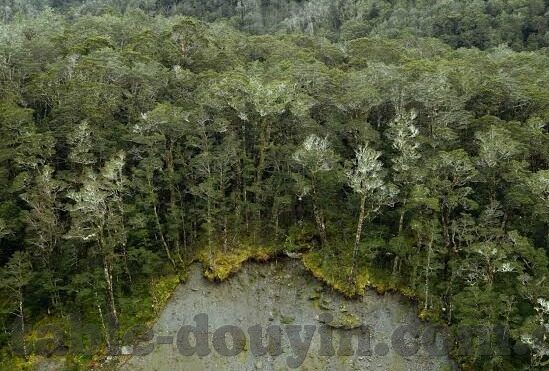 大象传媒视频最新下载-探索大象传媒视频最新下载的便捷途径