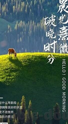 麻豆传媒直播app无限观看-解锁麻豆传媒直播app的无尽魅力，限时畅享互动娱乐新体验