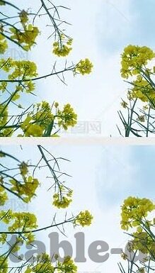 青青草国产福利一区二区-青青草，国产福利一区二区的文化与影响